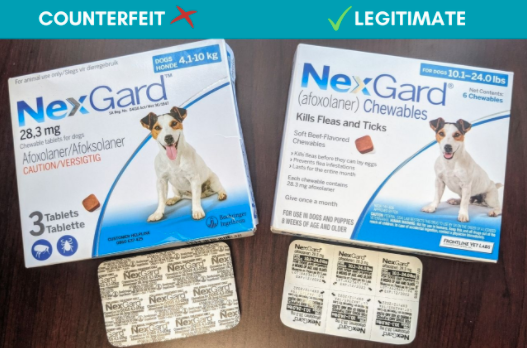 are dogs meds safe to buy online